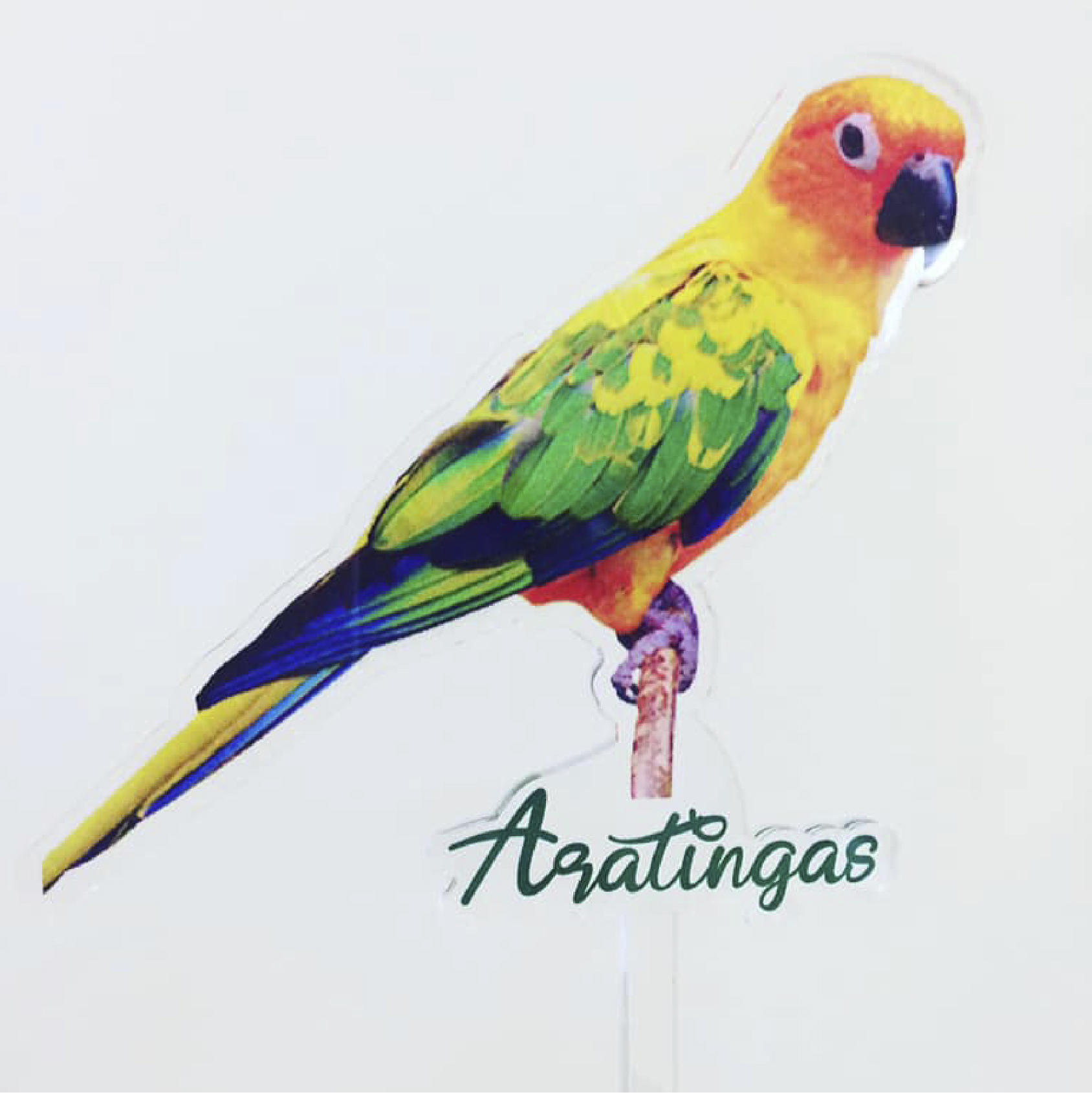 Copo D’Água